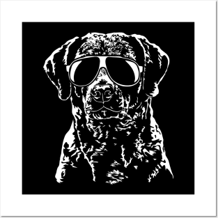 Funny Proud Chesapeake Bay Retriever sunglasses cool dog gift Posters and Art